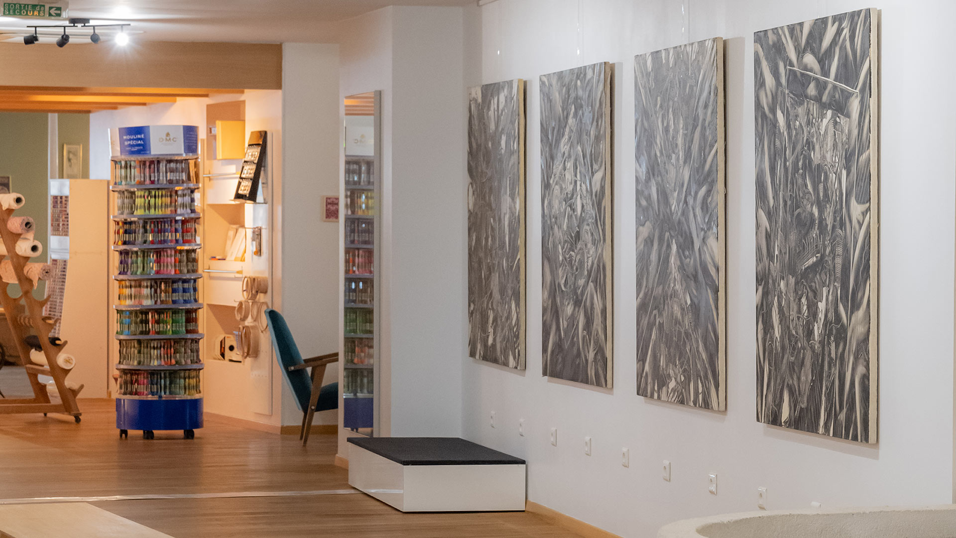 La dame qui pique - Saintes - galerie coin des artistes